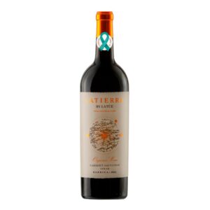 comprar vino cabernet sauvignon syrah barrica