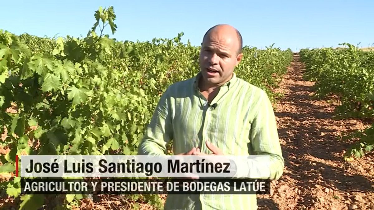 entrevista cnn