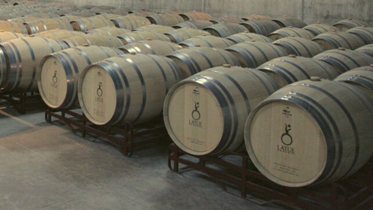diferencias barricas de roble francés y americano