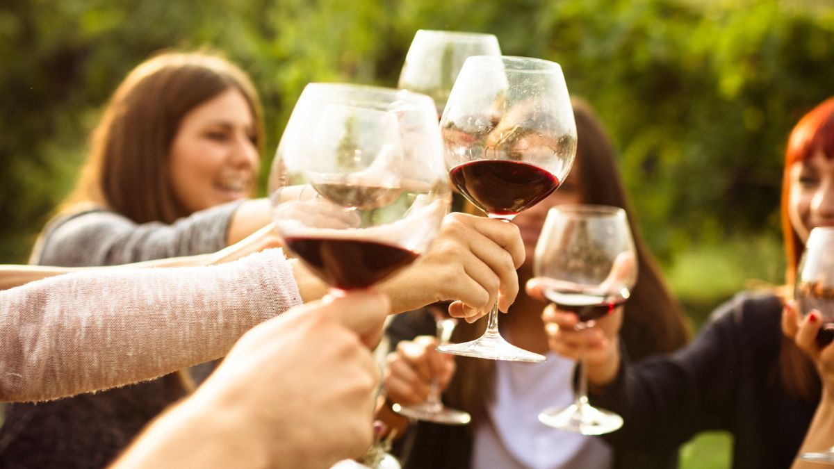 cómo describir un vino términos de cata