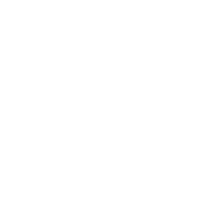 LOGO PINGOROTE BLANCO