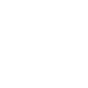 LOGO THERRA NATIVA BLANCO